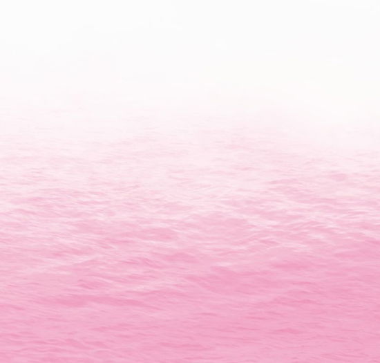 Cover for Ray · Pink (CD) [Japan Import edition] (2020)