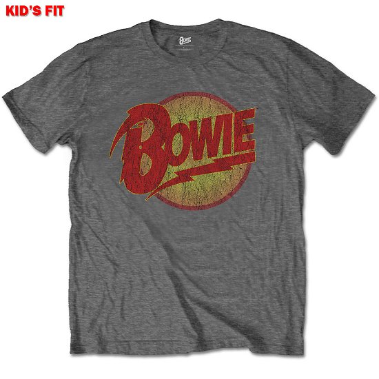 Cover for David Bowie · David Bowie Kids T-Shirt: Diamond Dogs Logo (11-12 Years) (T-shirt) [size 11-12yrs] [Grey - Kids edition]