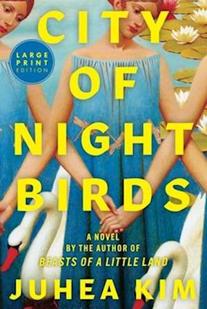 Juhea Kim · City of Night Birds (Buch) (2024)