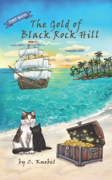 Cover for Cigdem Knebel · The Gold of Black Rock Hill: Decodable Chapter Books for Kids with Dyslexia (Pocketbok) (2018)