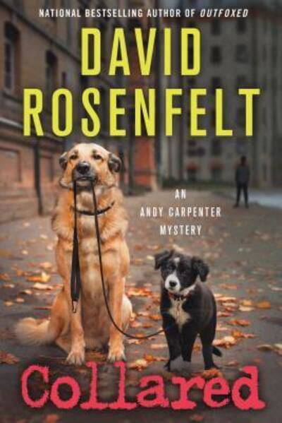 Cover for David Rosenfelt · Collared: An Andy Carpenter Mystery - An Andy Carpenter Novel (Taschenbuch) (2018)