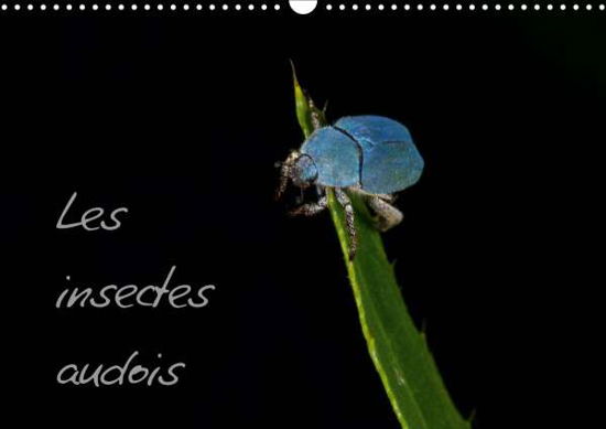 Cover for Ache · Les insectes audois (Calendrier mu (Bog)