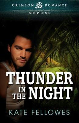 Cover for Kate Fellowes · Thunder in the Night (Paperback Book) (2012)