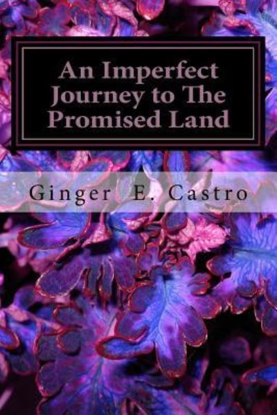 Cover for Ginger Esperanza Castro · An Imperfect Journey to The Promised Land (Taschenbuch) (2016)