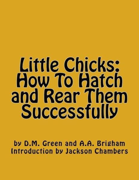 Cover for A A Brigham · Little Chicks (Taschenbuch) (2016)