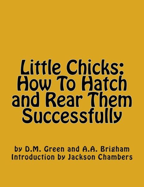 Cover for A A Brigham · Little Chicks (Paperback Book) (2016)