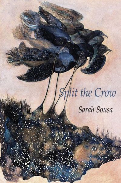 Cover for Sarah Sousa · Split the Crow (Paperback Book) (2015)