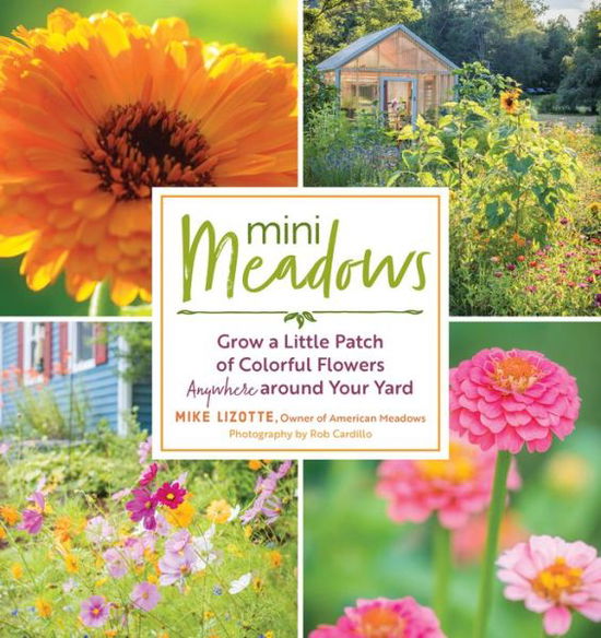 Cover for Mike Lizotte · Mini Meadows: Grow a Little Patch of Colorful Flowers Anywhere around Your Yard (Paperback Book) (2019)