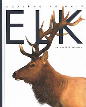 Cover for Valerie Bodden · Elk (Hardcover Book) (2019)