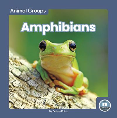 Amphibians - Dalton Rains - Books - Little Blue House - 9781646198351 - August 1, 2023