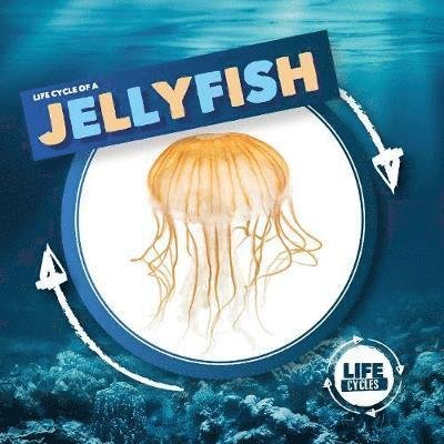 Cover for Kirsty Holmes · Jellyfish - Life Cycle Of A (Gebundenes Buch) (2020)