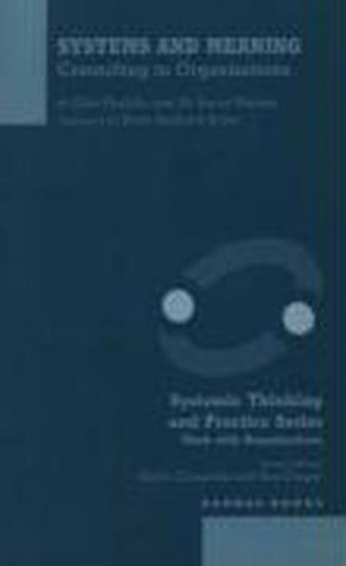 Cover for Gitte Haslebo · Systems and Meaning: Consulting in Organizations - The Systemic Thinking and Practice Series - Work with Organizations (Taschenbuch) (2000)