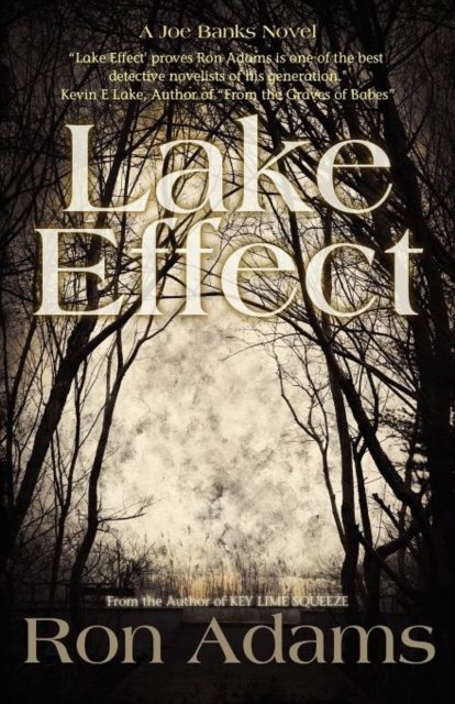 Cover for Ron Adams · Lake Effect (Taschenbuch) (2012)