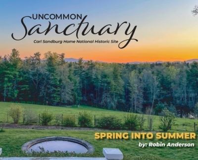 Uncommon Sanctuary - Robin Anderson - Muu - Mountain Page Press - 9781952714351 - tiistai 1. maaliskuuta 2022