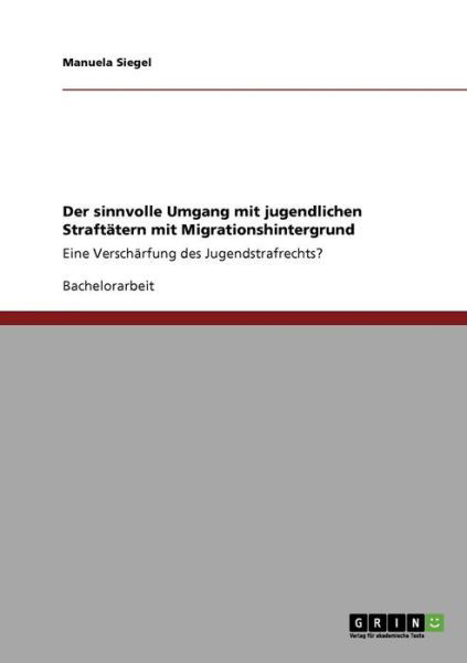 Cover for Siegel · Der sinnvolle Umgang mit jugendl (Bog) [German edition] (2009)