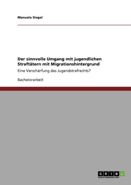 Cover for Siegel · Der sinnvolle Umgang mit jugendl (Book) [German edition] (2009)