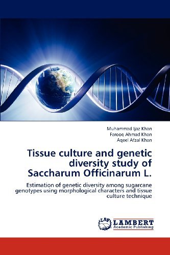 Cover for Aqeel Afzal Khan · Tissue Culture and Genetic Diversity Study of Saccharum Officinarum L.: Estimation of Genetic Diversity Among Sugarcane Genotypes Using Morphological Characters and Tissue Culture Technique (Paperback Bog) (2012)