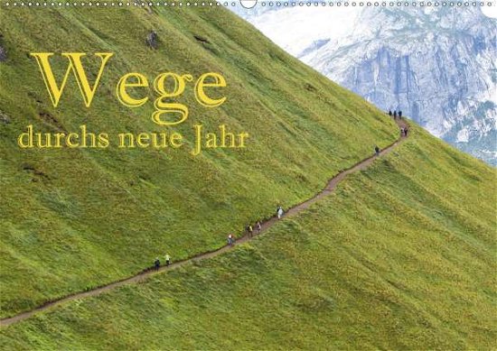 Cover for Pfleger · Wege durchs neue Jahr (Wandkale (Buch)