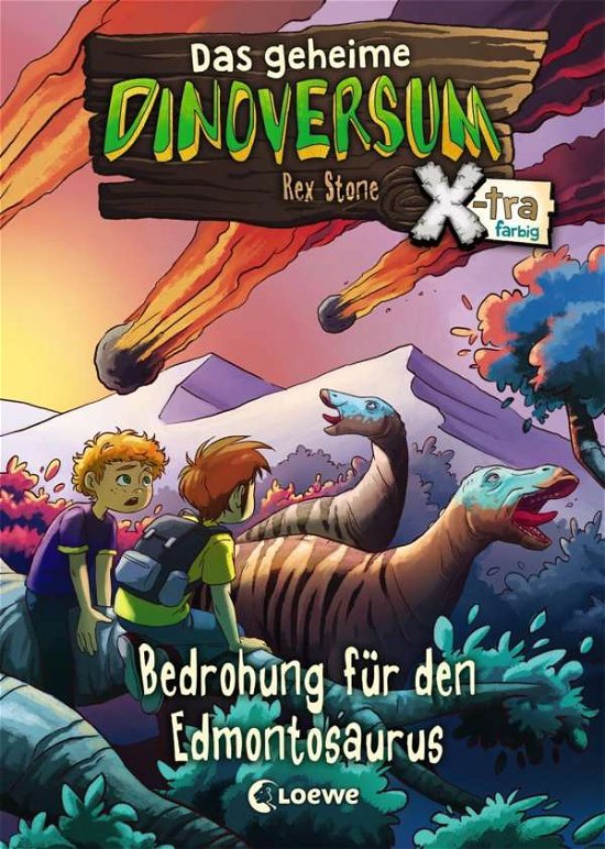 Cover for Stone · Das geheime Dinoversum Xtra - Bed (Bok)