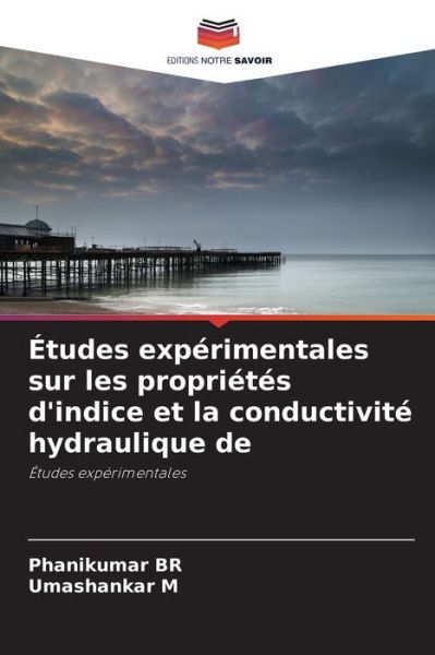 Cover for Phanikumar Br · Etudes experimentales sur les proprietes d'indice et la conductivite hydraulique de (Paperback Bog) (2021)