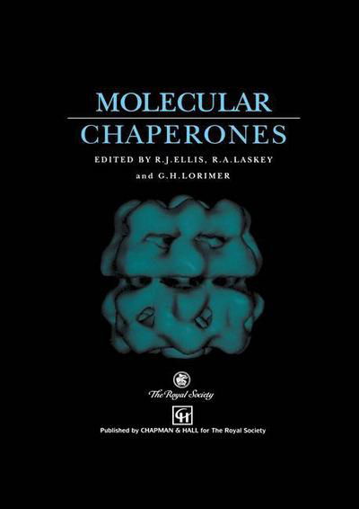 Molecular Chaperones - R J Ellis - Książki - Springer - 9789401049351 - 6 listopada 2012