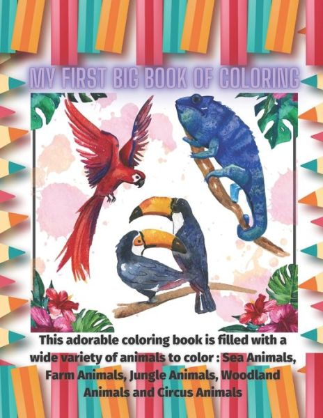 Cover for Maria Warren · My First Big Book of Coloring - This adorable coloring book is filled with a wide variety of animals to color (Taschenbuch) (2020)