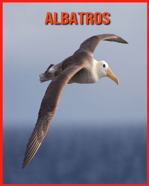 Albatros - Alicia Moore - Books - Independently Published - 9798709570351 - February 15, 2021