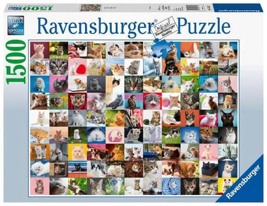 Cover for Ravensburger · Ravensburger - Ravensburger Puzzel 99 Katten - Legpuzzel - 1500 Stukjes (Leketøy) (2022)