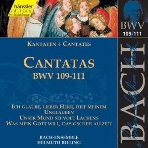 BACH: Kantaten BWV 109-111 - Bach-collegium / Rilling - Music - hänssler CLASSIC - 4010276015352 - November 9, 1999