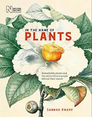 Cover for Sandra Knapp · In the Name of Plants: Remarkable plants and the extraordinary people behind their names (Inbunden Bok) (2022)