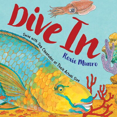 Cover for Roxie Munro · Dive In: Swim with Sea Creatures at Their Actual Size (Hardcover Book) (2020)