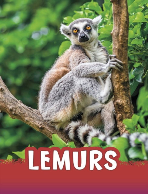 Cover for Jaclyn Jaycox · Lemurs (N/A)