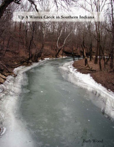 Barb Wood · Up a Winter Creek in Southern Indiana (Paperback Book) (2008)