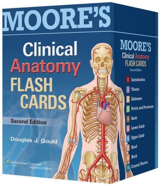 Cover for Douglas J. Gould · Moore's Clinical Anatomy Flash Cards (Flashcards) (2013)