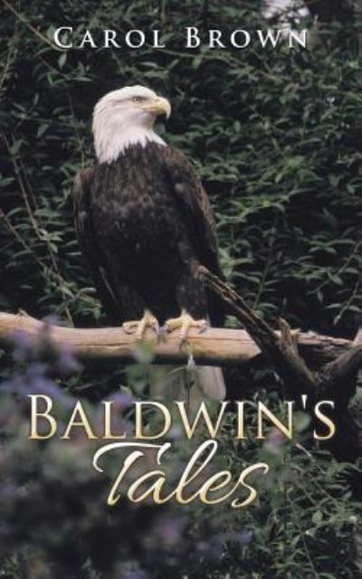 Cover for Carol Brown · Baldwin's Tales (Pocketbok) (2016)