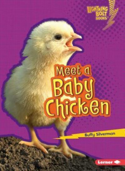 Cover for Buffy Silverman · Meet a Baby Chicken (Paperback Book) (2016)