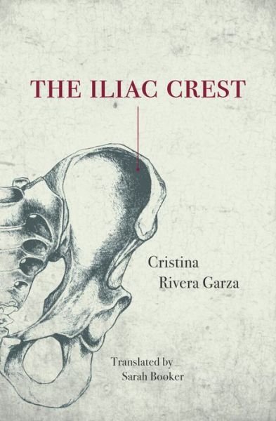 Cover for Cristina Rivera-Garza · The Iliac Crest (Paperback Book) (2017)