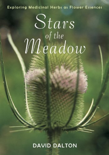Cover for David Dalton · Stars of the Meadow: Medicinal Herbs as Flower Essences (Paperback Book) [F First Edition Used edition] (2006)