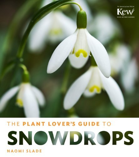 Cover for Naomi Slade · The Plant Lover's Guide to Snowdrops (Hardcover bog) (2014)
