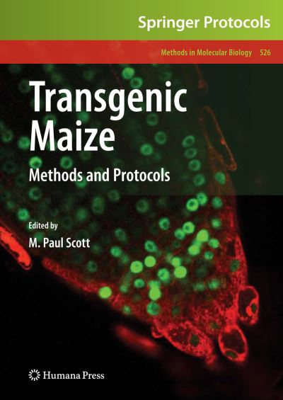 Cover for M Paul Scott · Transgenic Maize: Methods and Protocols - Methods in Molecular Biology (Paperback Book) [Softcover reprint of hardcover 1st ed. 2009 edition] (2010)
