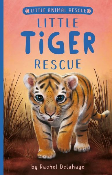 Cover for Rachel Delahaye · Little Tiger Rescue - Little Animal Rescue (Hardcover Book) (2021)