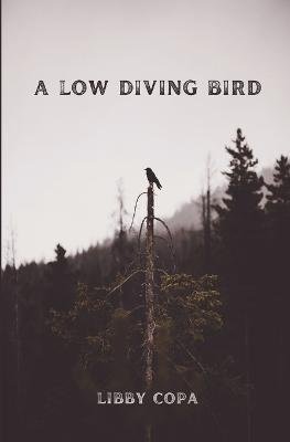 Cover for Libby Copa · A Low Diving Bird (Taschenbuch) (2023)