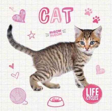 Cover for Holly Duhig · Cat - Life Cycles (Hardcover Book) (2017)