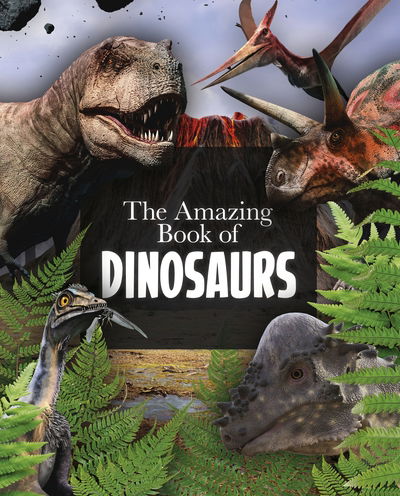 Cover for Clare Hibbert · The Amazing Book of Dinosaurs - Amazing Books (Paperback Book) (2019)