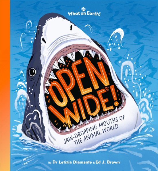 Cover for Letizia Diamante · Open Wide!: Jaw-dropping mouths of the animal world (Hardcover Book) (2024)