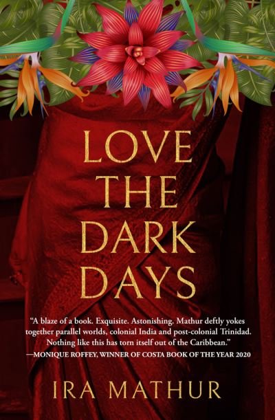 Cover for Ira Mathur · Love the Dark Days (Paperback Book) (2022)