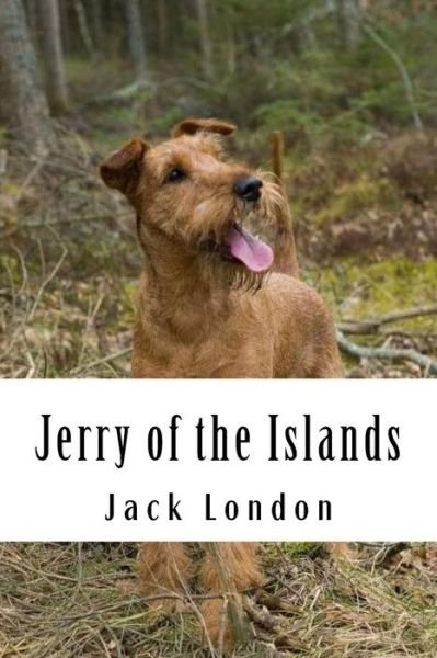 Jerry of the Islands - Jack London - Livros - CreateSpace Independent Publishing Platf - 9781984190352 - 26 de janeiro de 2018