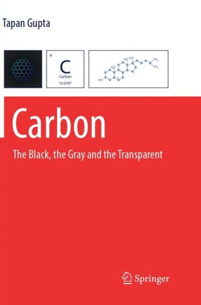 Cover for Tapan Gupta · Carbon: The Black, the Gray and the Transparent (Paperback Book) [Softcover reprint of the original 1st ed. 2018 edition] (2018)