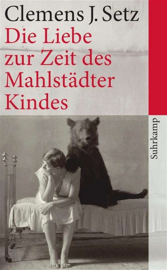 Cover for Clemens J Setz · Die Liebe zur Zeit des Mahlstadter Kindes (Paperback Book) (2012)