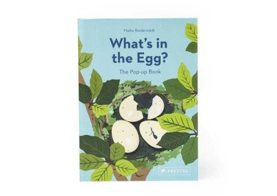 Cover for Maike Biederstadt · What's in the Egg? (Hardcover Book) (2020)
